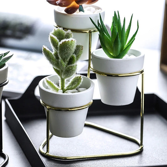 Cute Little Desktop Three Sets Of Planters With Simple Iron Rack Office Decoration