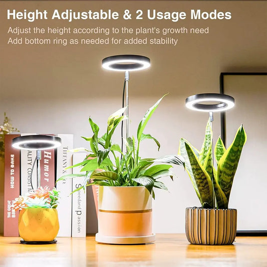 New Small Grow Light Stable Full Spectrum Automatic Timer Height Adjustable Growing Lamp LED Plant Light Halo For Indoor Plant