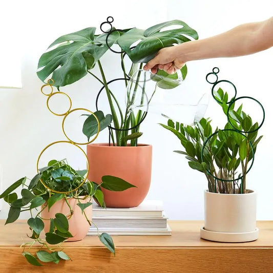 Cute Little Decorative Stackable House Plant Trellis for Climbing Indoor Plants