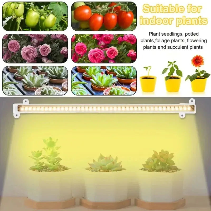 Cute Led Grow Light USB Timer Phyto Lamp For Plants 
Dimmable LED Lamp Full Spectrum Hydroponics Growing Lamps
