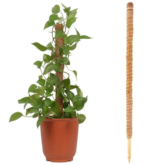 Cute Moss Pole For Plants (Like Monstera) 
Bendable Tall Coco Coir Plant Support For Climbing Plants