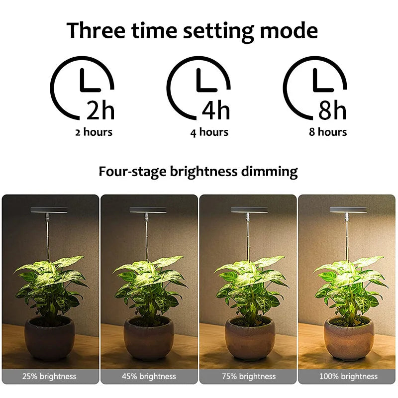Cute Little LED Indoor Angel Ring Plant Growth Light 
On/Off Timer USB 5V Retractable Height Full Spectrum Simulated Sunlight Plant